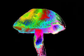 Multicolored rainbow mushroom drawing