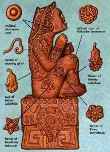 The Aztec Prince of Flowers, Xochipilli has various engravings depicting the sacred mushroom Psilocybe aztecorum. 